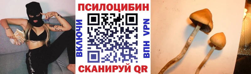 Галлюциногенные грибы ЛСД  даркнет сайт  Нефтеюганск 