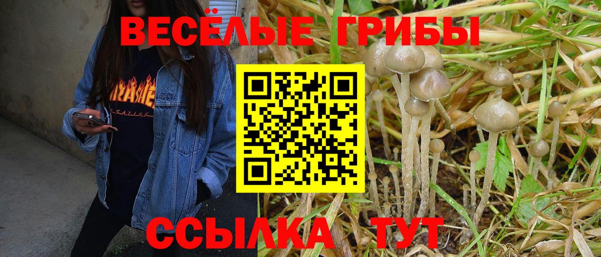 Галлюциногенные грибы MAGIC MUSHROOMS Нефтеюганск