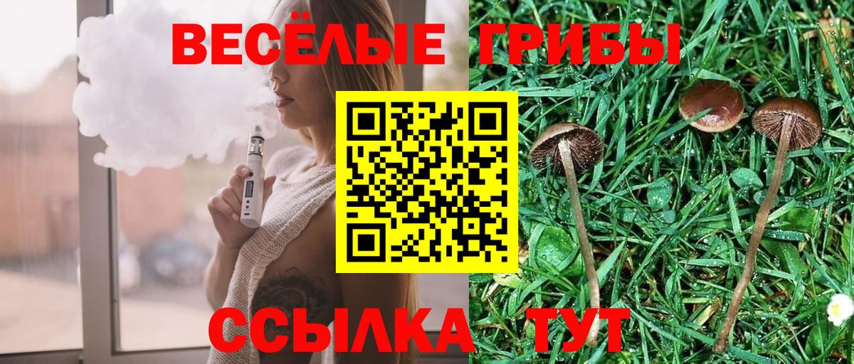 Галлюциногенные грибы прущие грибы  Вход с VPN  Нефтеюганск  Псилоцибиновые грибы мухоморы 